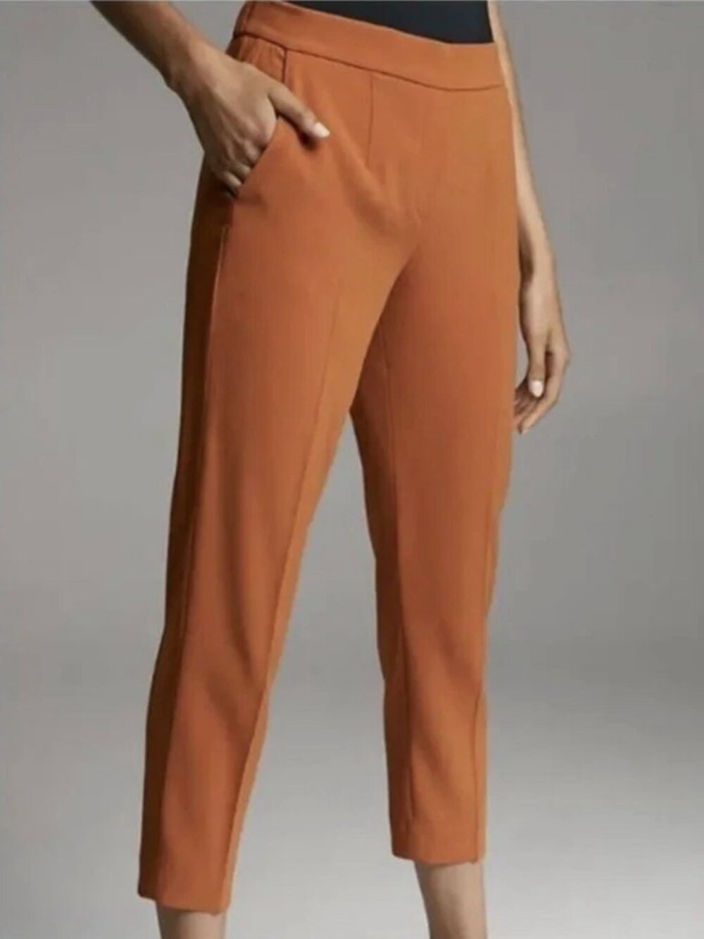 Aritzia Babaton Conan Pant